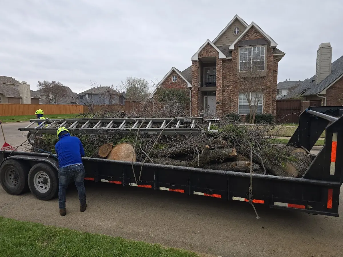 Expert Tree Fertilization with proper safety equipment in Carterville
